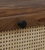 Sheesham TV Cabinet for Home with Modern Layout and Cable Management - Image 12