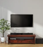 TV Console with Drawer and Cabinet in Polished Sheesham Wood