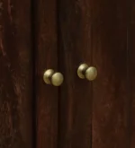 Ayaan Solid Sheesham Wood Storage Cabinet In Honey Finish - Image 8