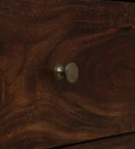 Kavya Sheesham Wood Multipurpose Cabinet In Natural Finish - Image 8