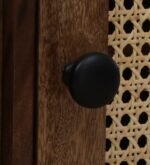 Prisha Sheesham Wood Multipurpose Storage Cabinet In Honey Finish - Image 2
