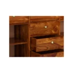Modern Sheesham Solid Wood Utility Cabinet with Drawer and Storage Compartments - Image 8
